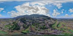 成都市_ 蒲江县_光明_蒲江樱桃山 (24)